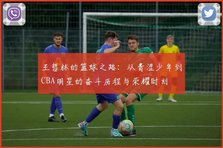 王哲林的篮球之路：从青涩少年到CBA明星的奋斗历程与荣耀时刻