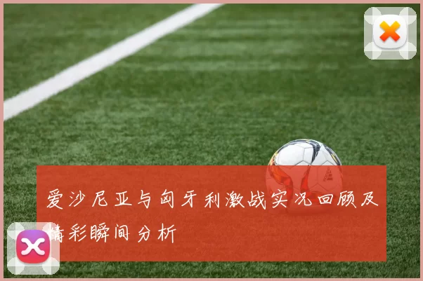 爱沙尼亚与匈牙利激战实况回顾及精彩瞬间分析