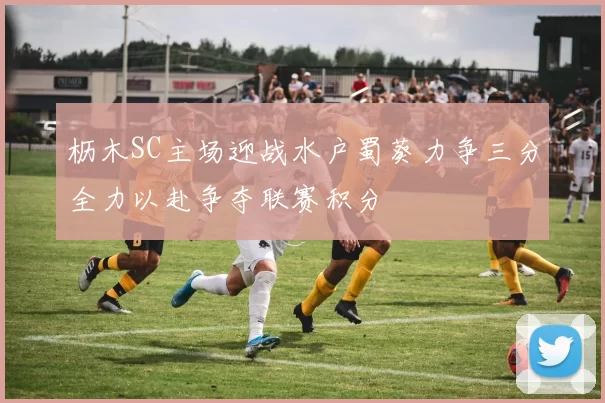 枥木SC主场迎战水户蜀葵力争三分全力以赴争夺联赛积分