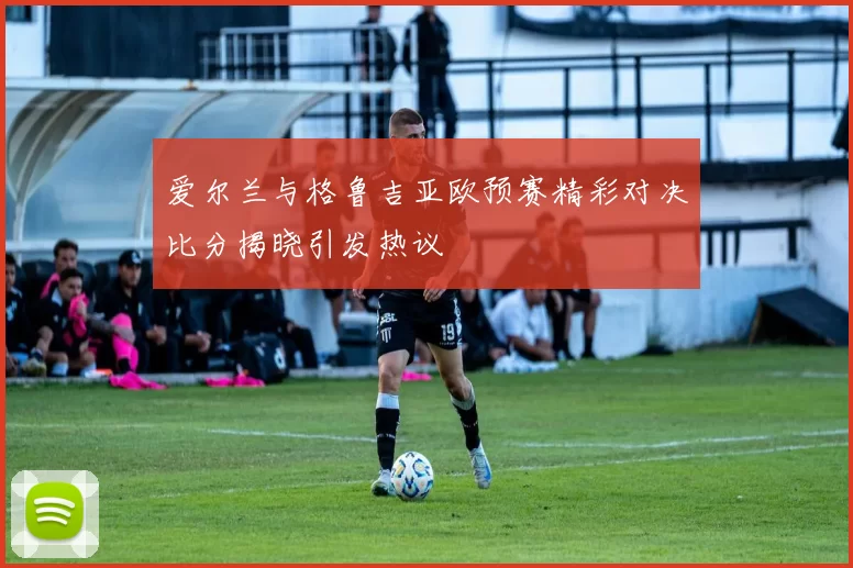爱尔兰与格鲁吉亚欧预赛精彩对决比分揭晓引发热议
